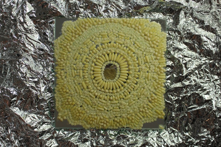 DeineAppleBeziehung_Icanseeyou3_5